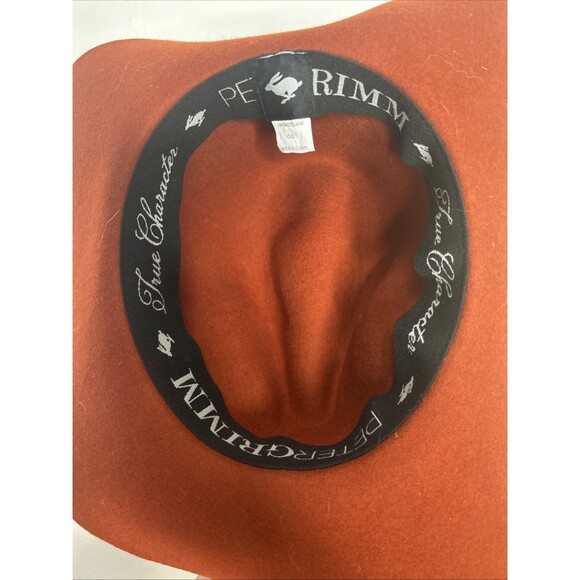 Peter Grimm True Character Burnt Umber 100% Wool Hat Wide Rim Boho Lagenlook - Picture 3 of 5